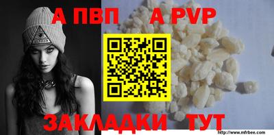 стаф Донской