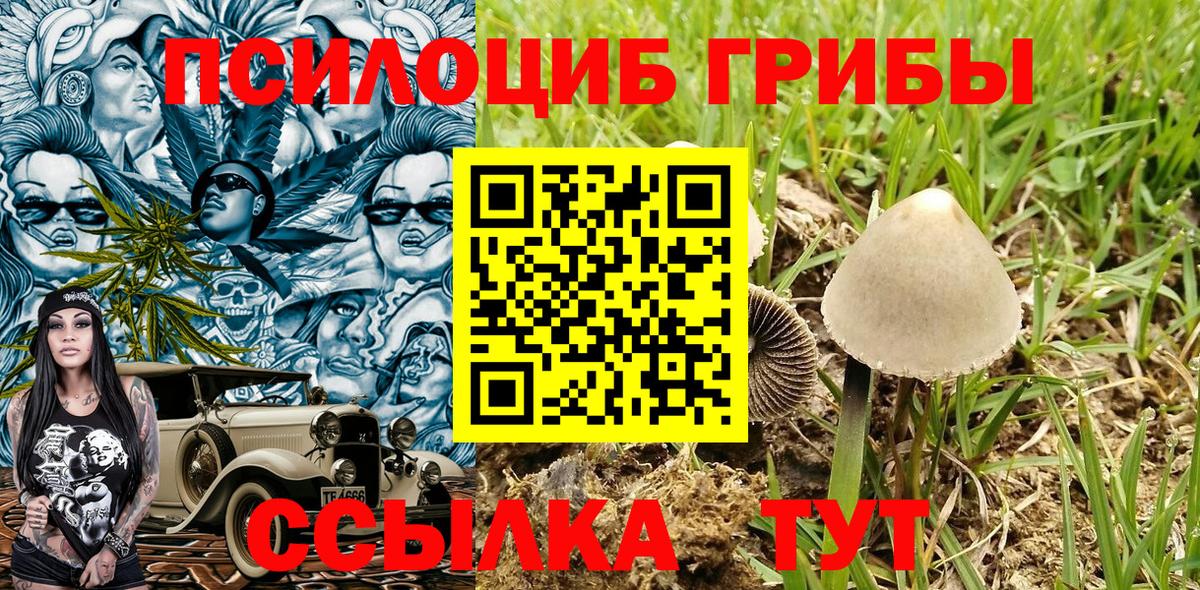 Псилоцибиновые грибы MAGIC MUSHROOMS Мурино