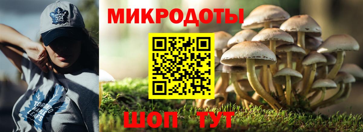 Галлюциногенные грибы Cubensis  Галлюциногенные грибы мухоморы  Вход с VPN  Мурино 